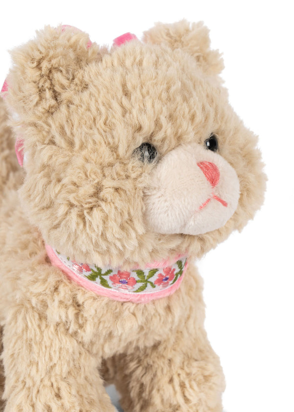 Aktivitäts-Kätzchen