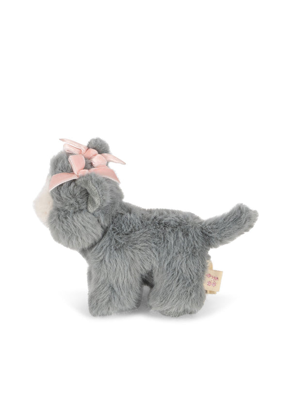 Bébés animaux « Chat gris »