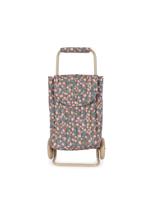 Kinder Trolley Kyoto