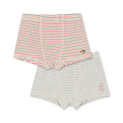 2-Pack Basic Boxershorts Stripe Bluie / Stripe Tricolore