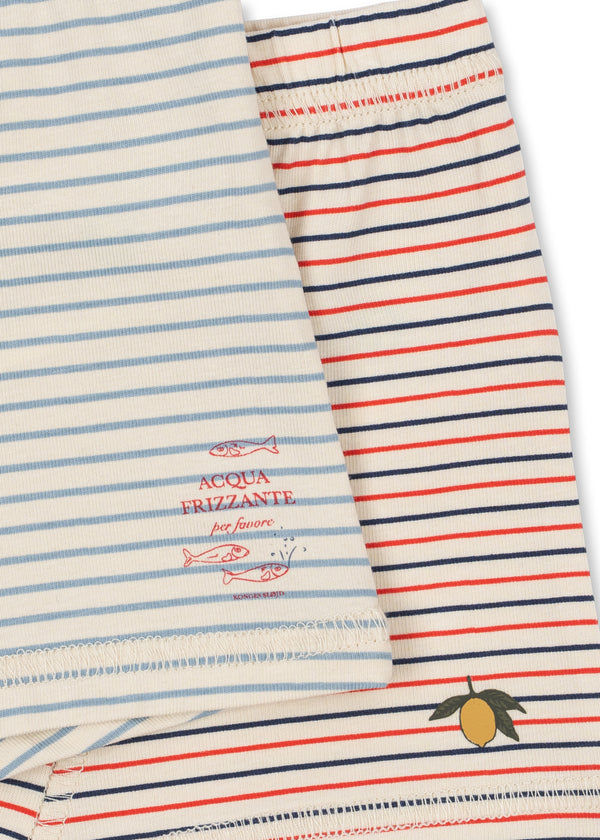 2-Pack Basic Boxershorts Stripe Bluie / Stripe Tricolore