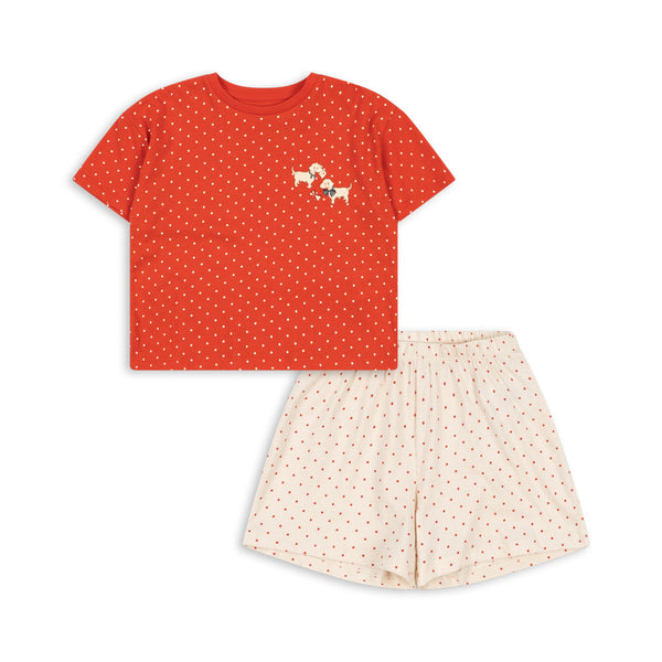 Ensemble Famo Fit Pirouette Dot / Rose Croele