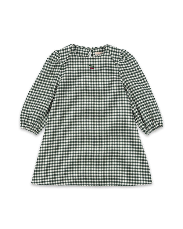 Fort Kleid Green Check