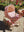 Minnie Puppenwagen (Pram) Felice Rose