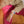 Mini Kyomo Confetti Kinderarmbanduhr | Kinderuhr | Beluga Kids