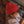 Hvid Beanie Fonzie Red | Mütze | Beluga Kids